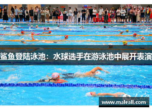 鲨鱼登陆泳池：水球选手在游泳池中展开表演